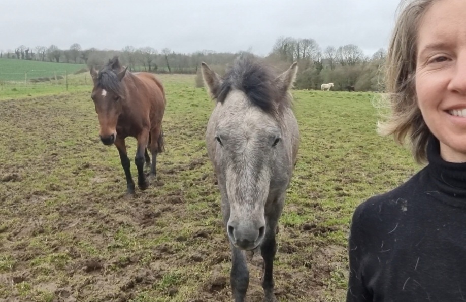 Ty Kalonn Equithérapie's image