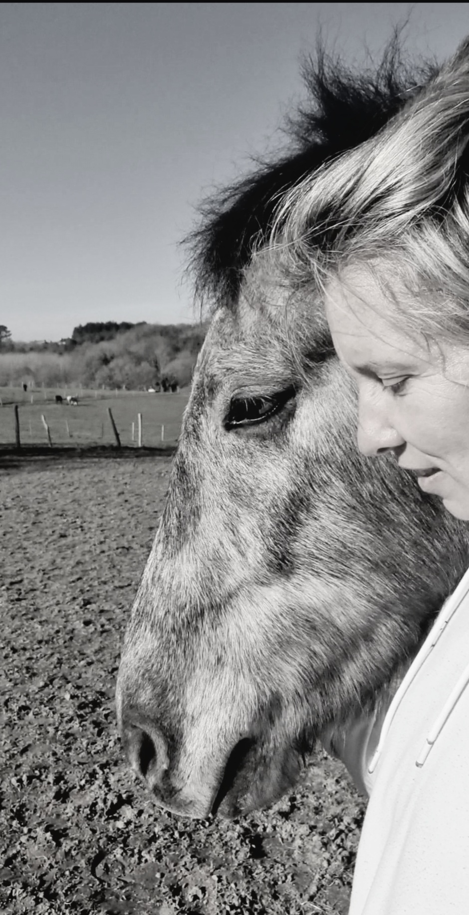 Ty Kalonn Equithérapie's image