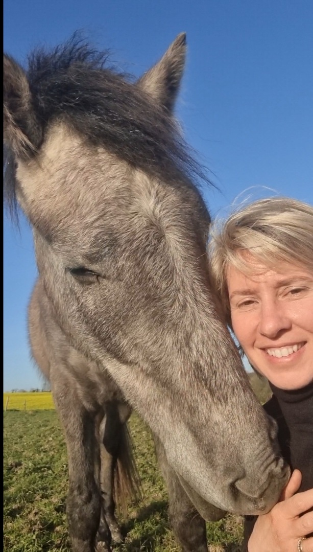 Ty Kalonn Equithérapie's image