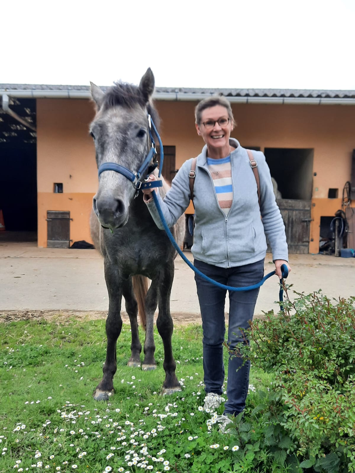 Ty Kalonn Equithérapie's image