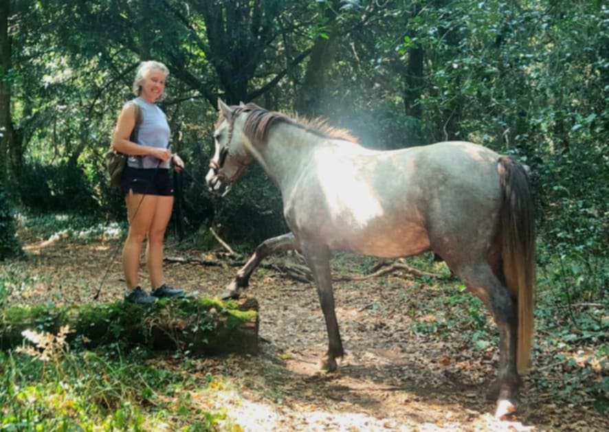 Ty Kalonn Equithérapie's image