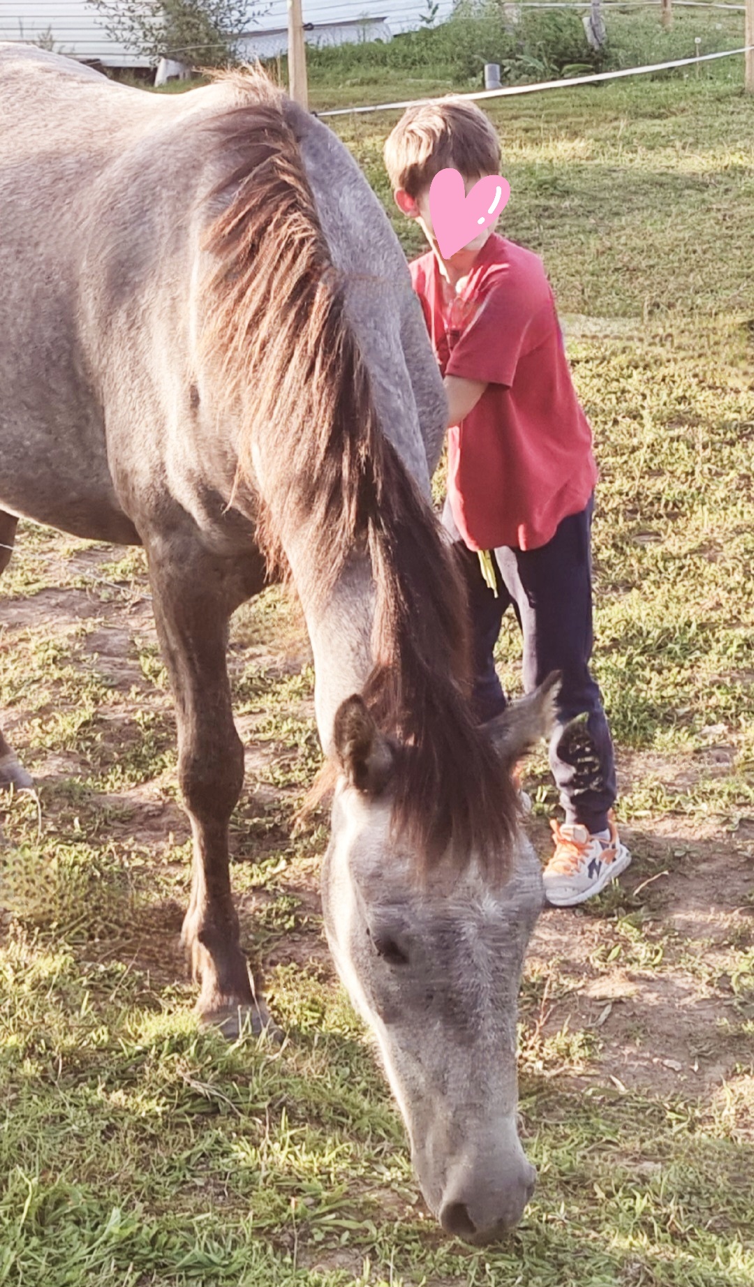 Ty Kalonn Equithérapie's image