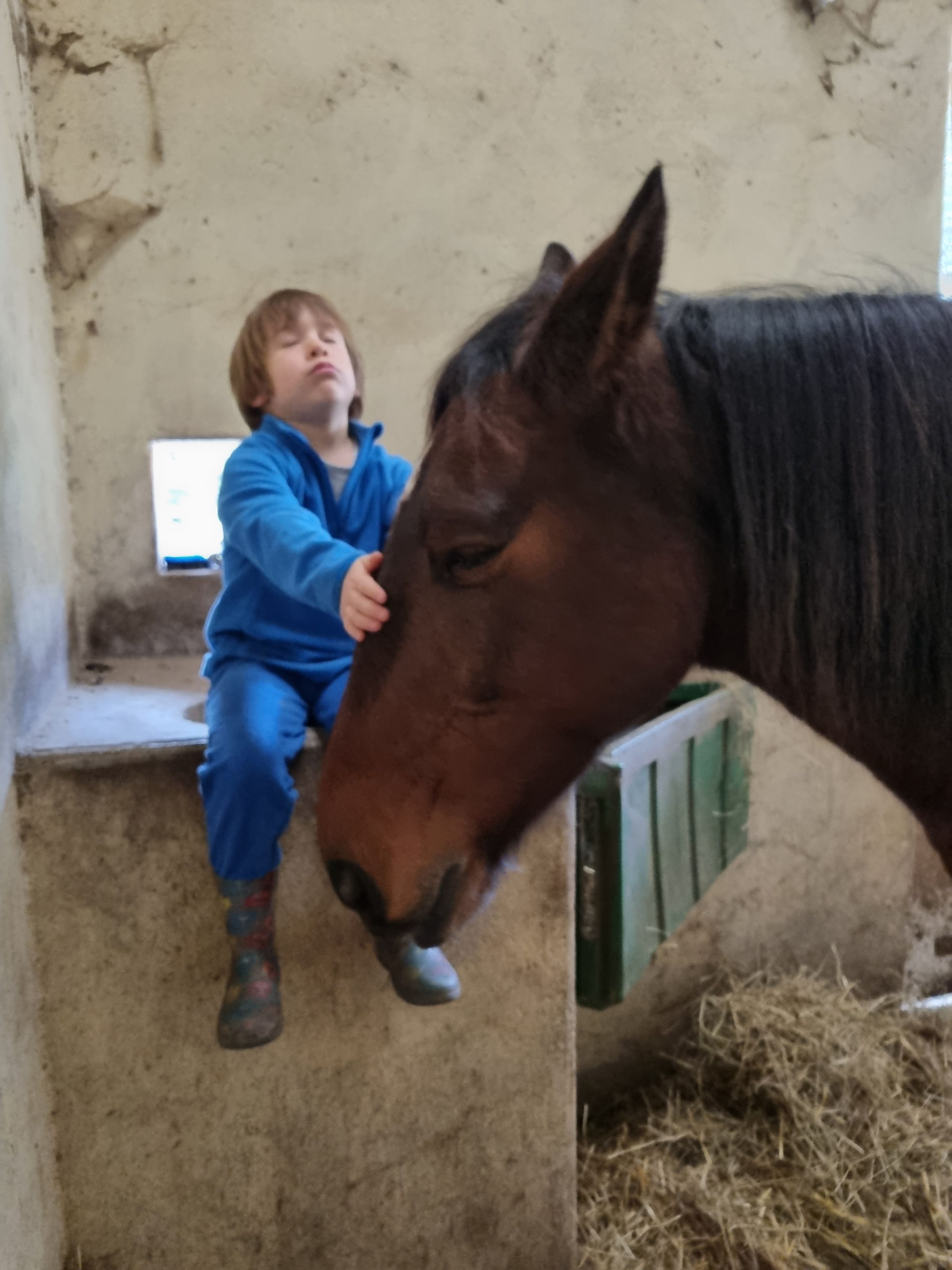 Ty Kalonn Equithérapie's image