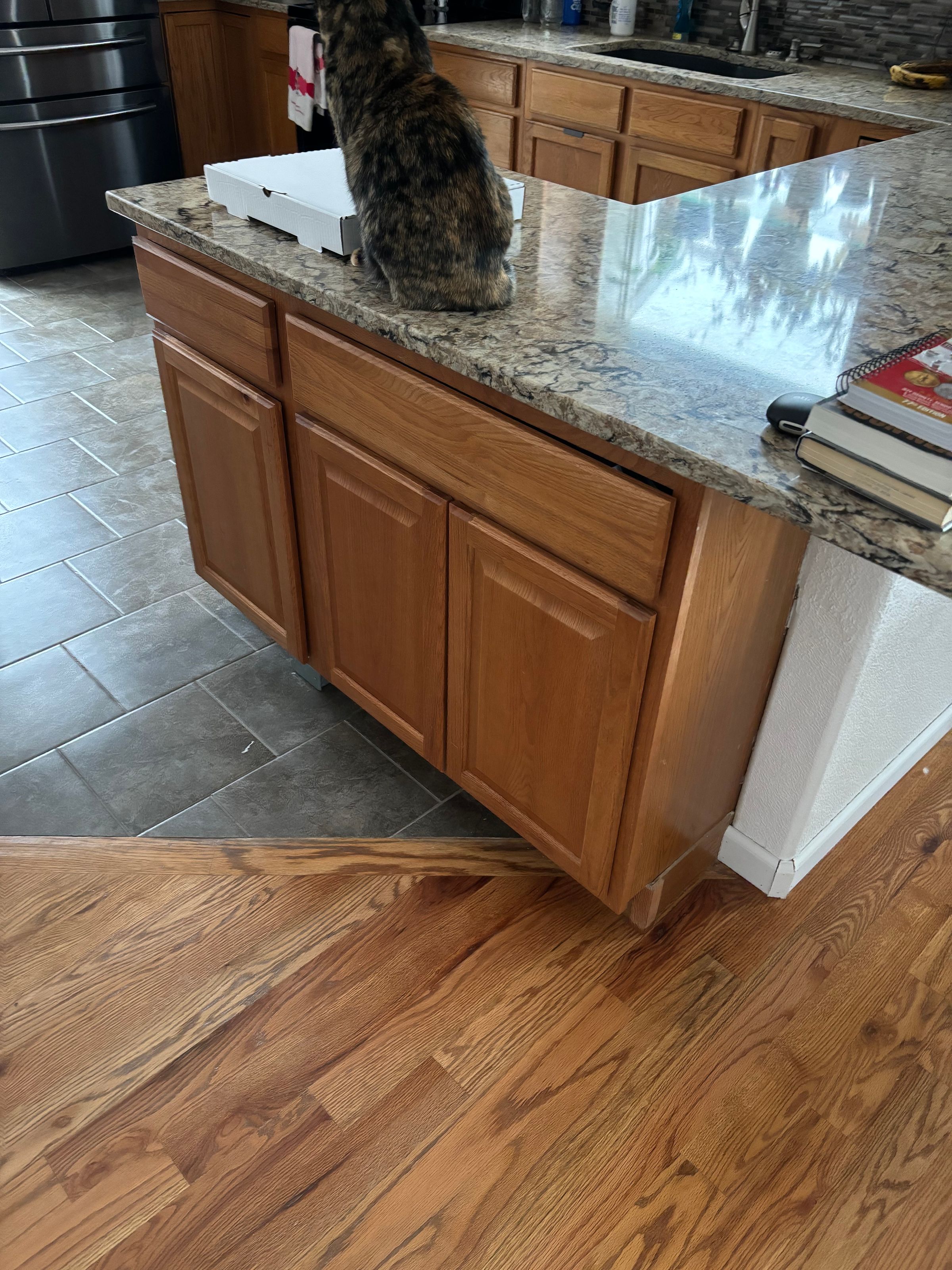 Before kitchen cabinets 