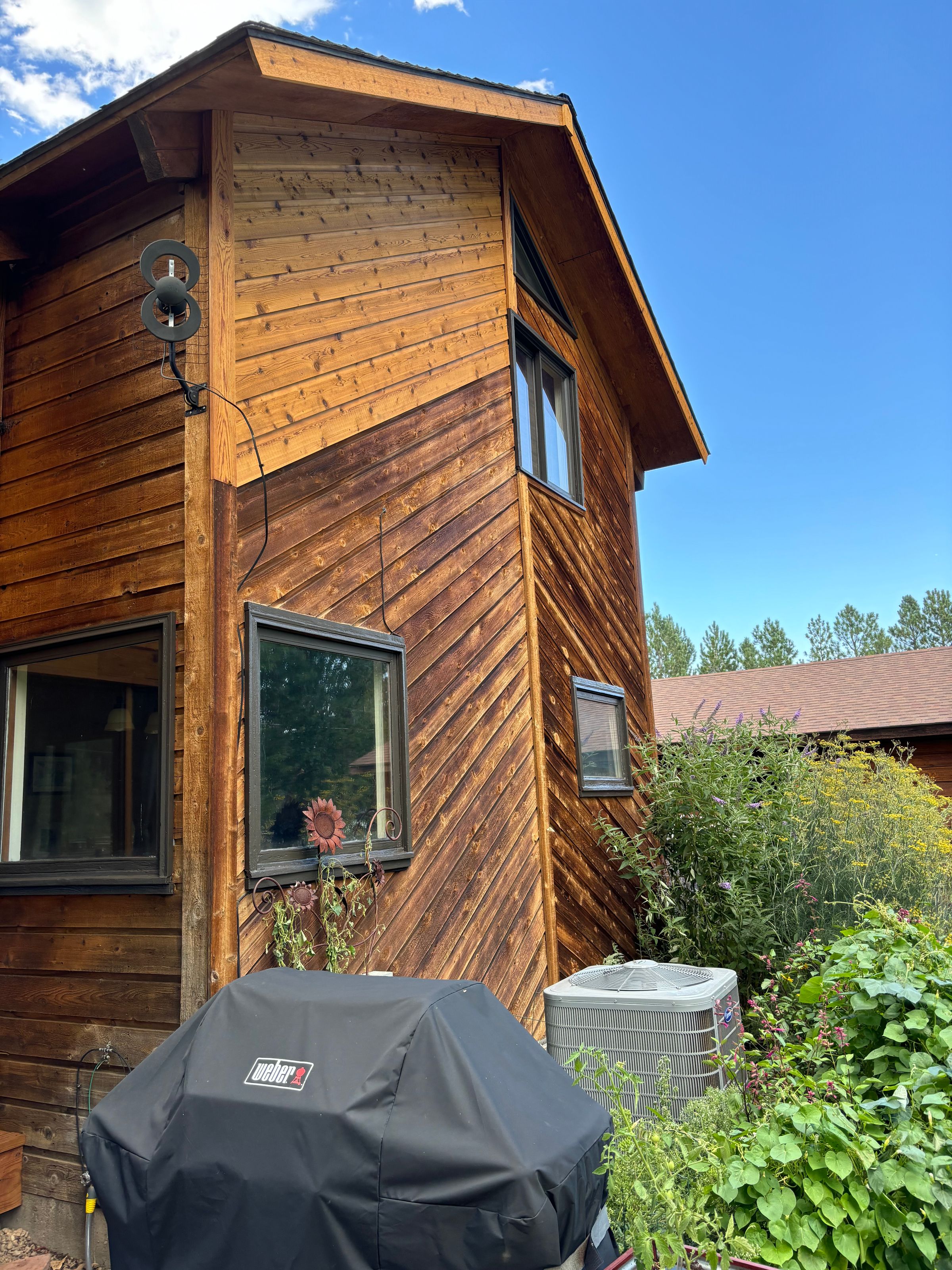 After window and trim repaint