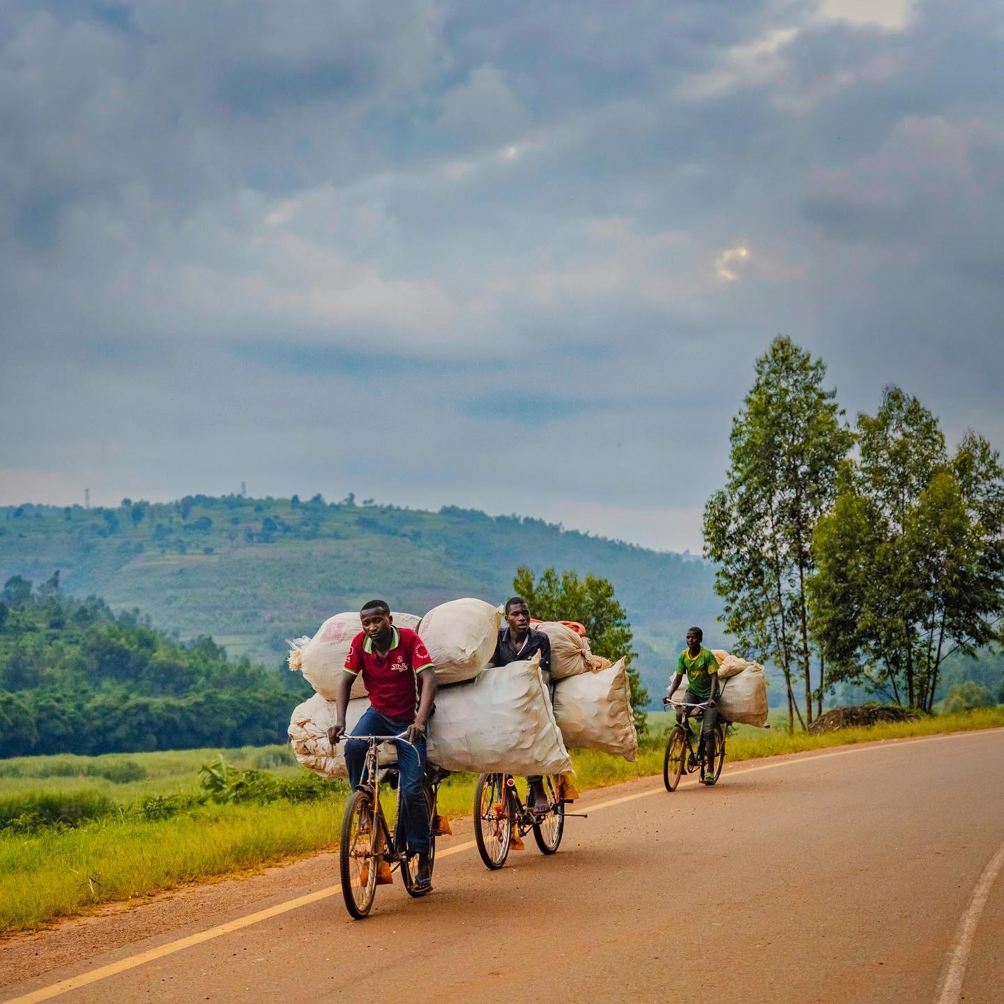 Bulb Vision Media and Advertising's image