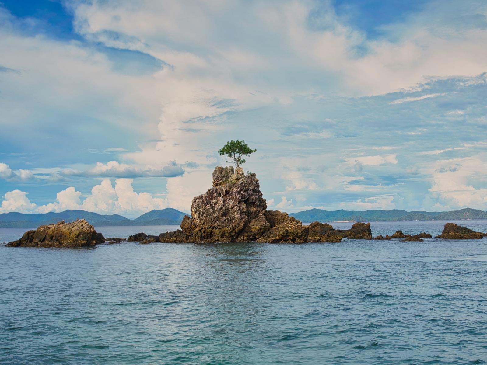 Bulb Vision Media and Advertising's image