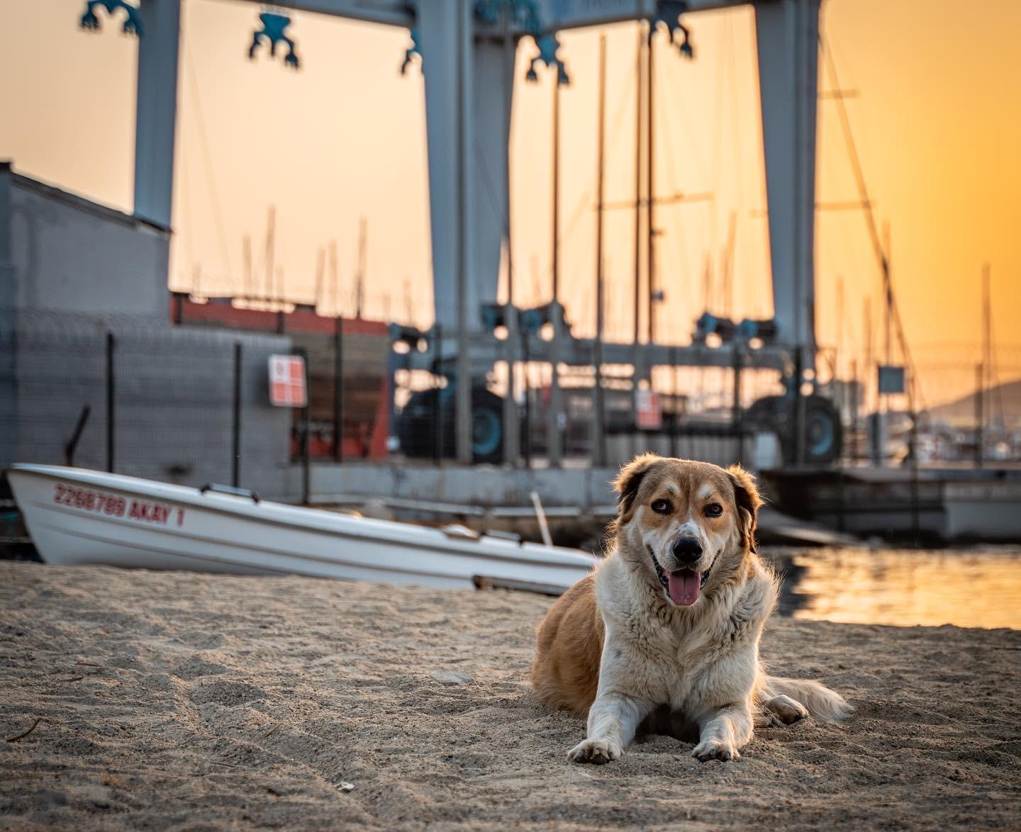 Bulb Vision Media and Advertising's image