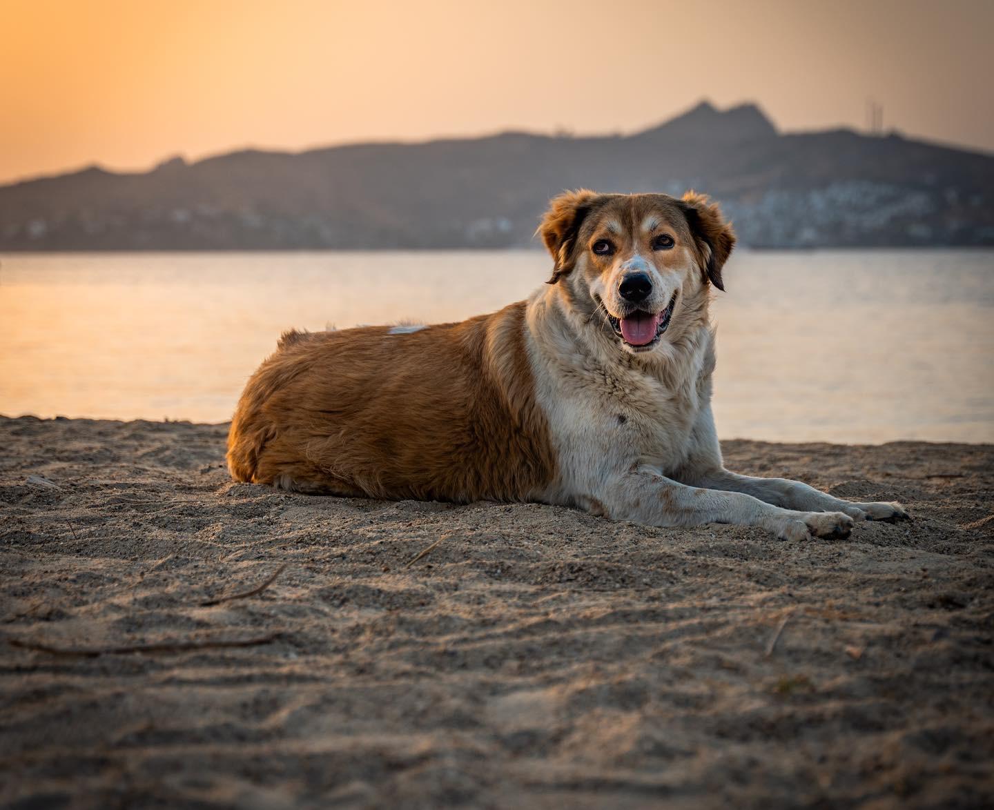 Bulb Vision Media and Advertising's image