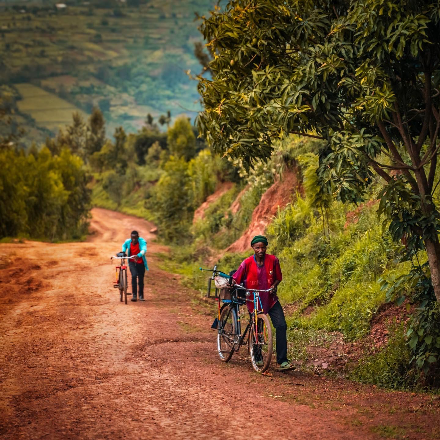 Bulb Vision Media and Advertising's image