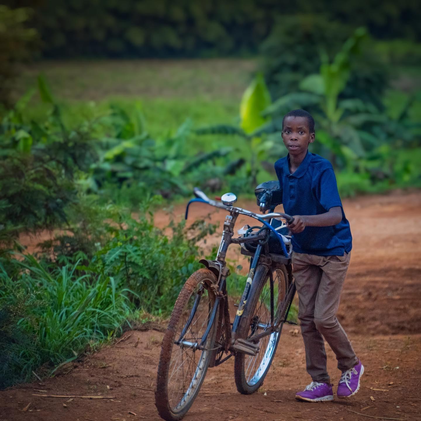 Bulb Vision Media and Advertising's image