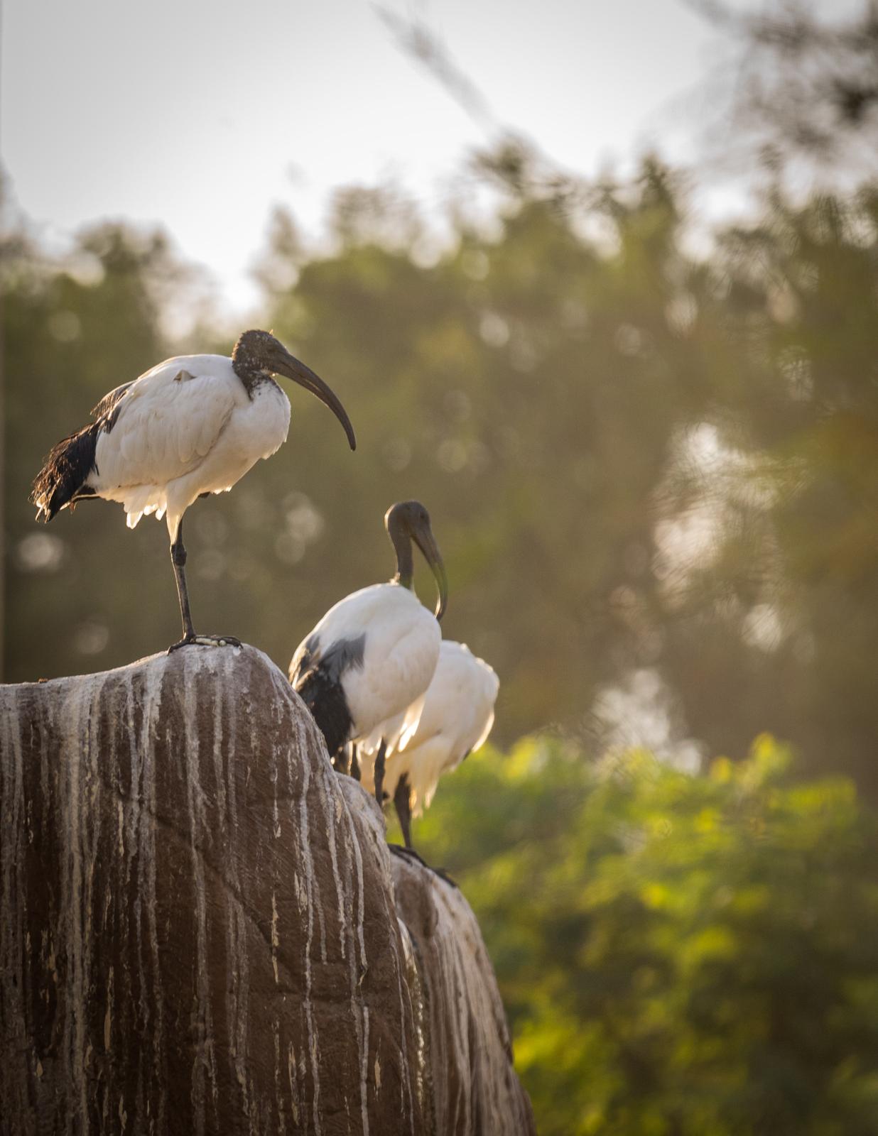 Bulb Vision Media and Advertising's image