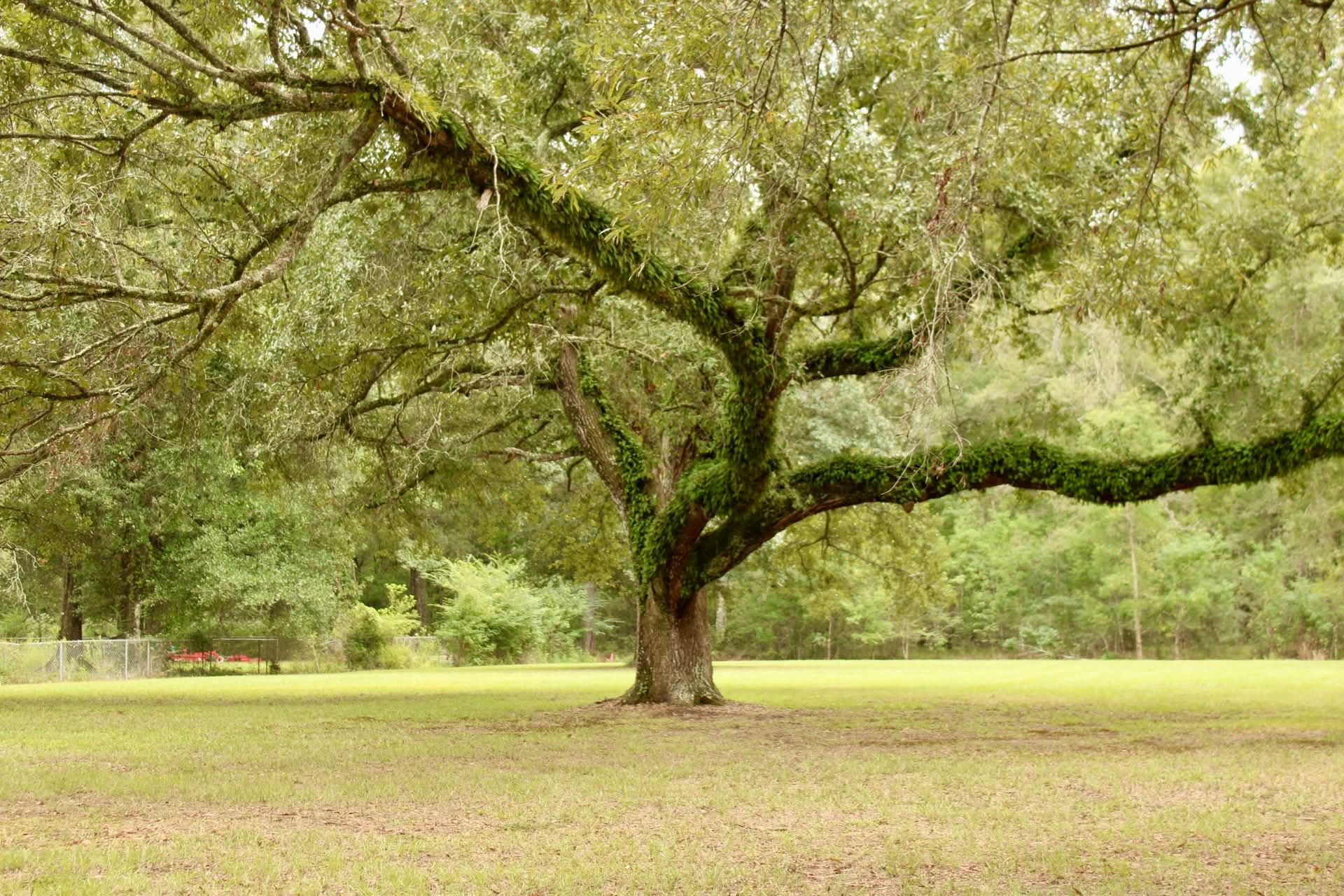 Weddings and Event Venue's image