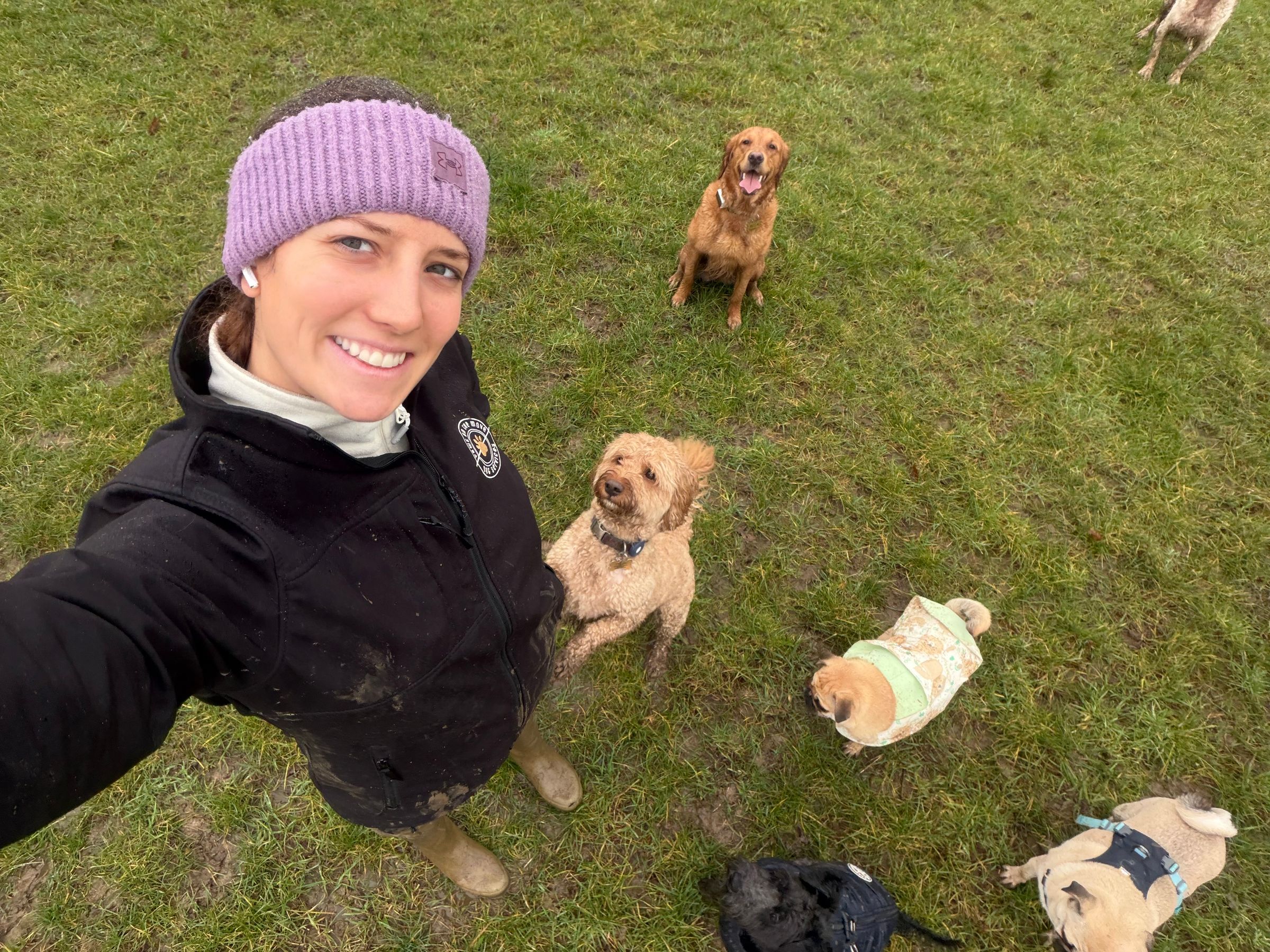 Paws On The Move's image