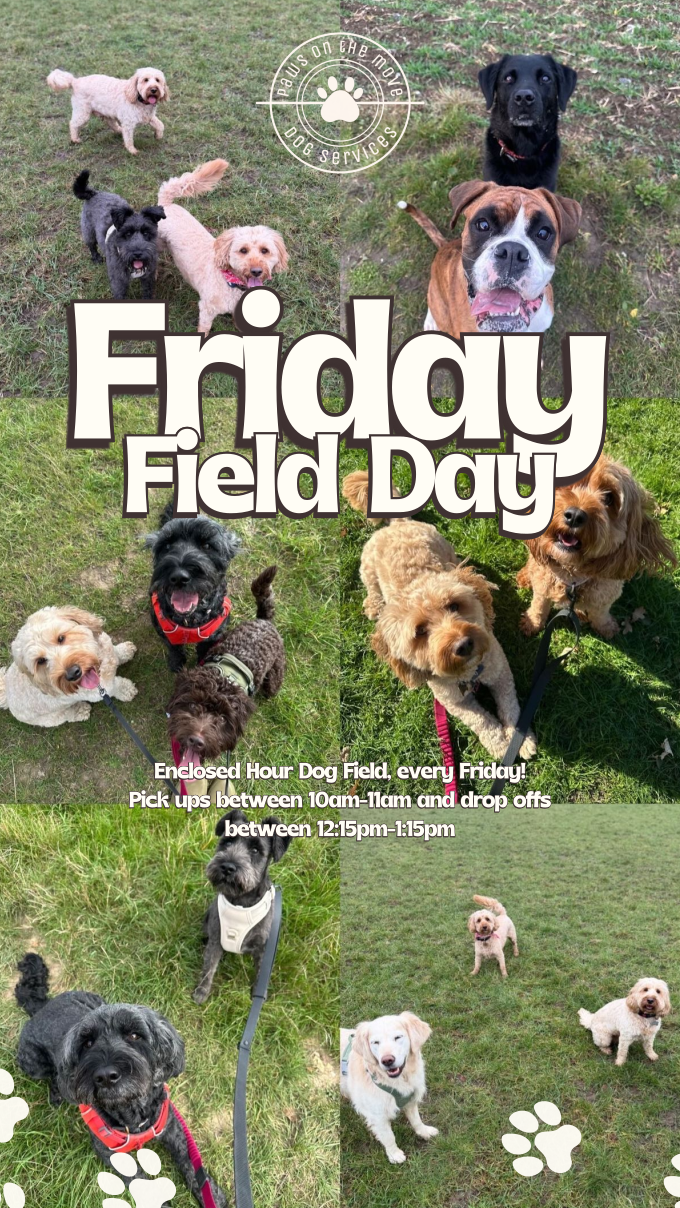 Paws On The Move's image