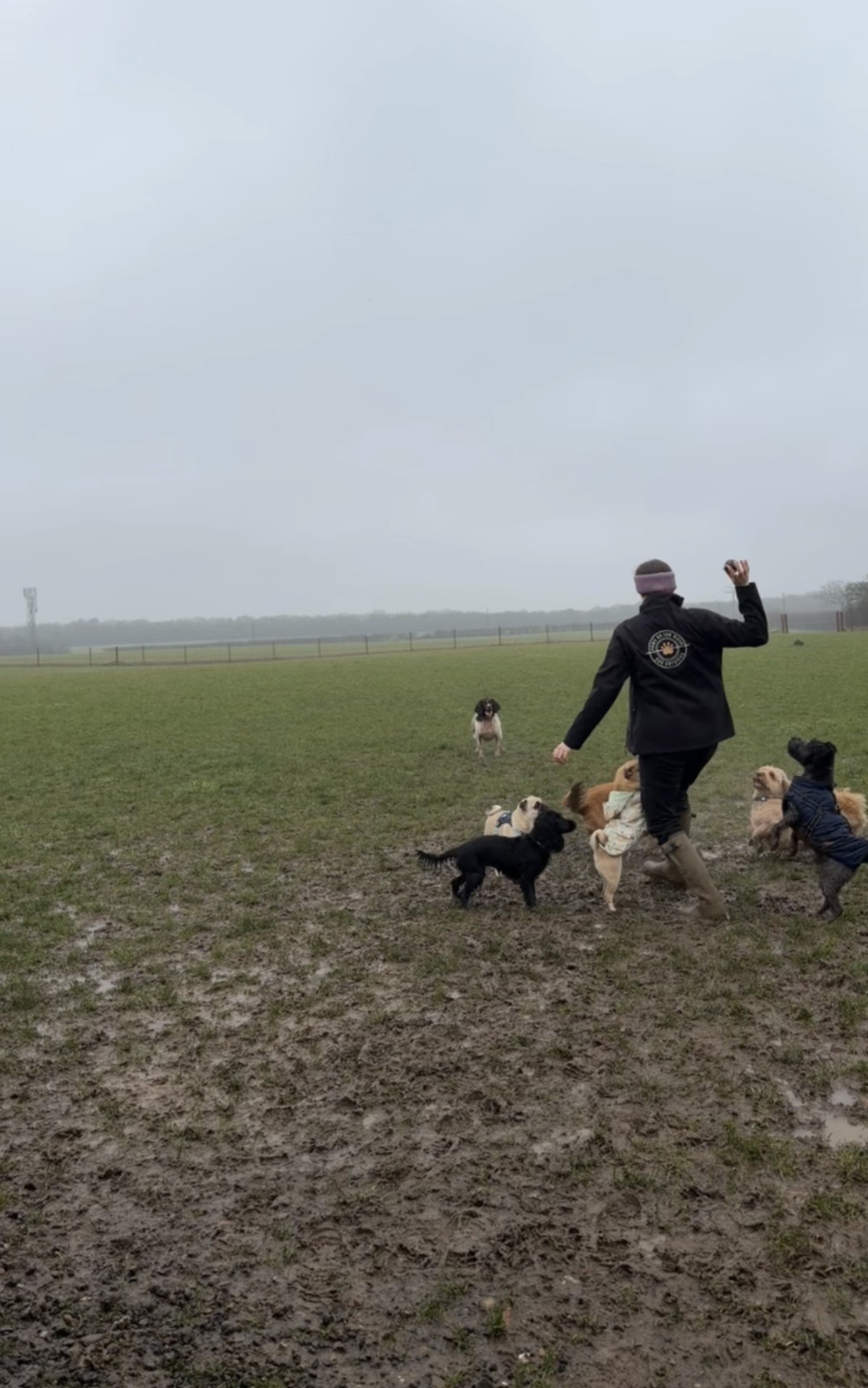 Paws On The Move's image