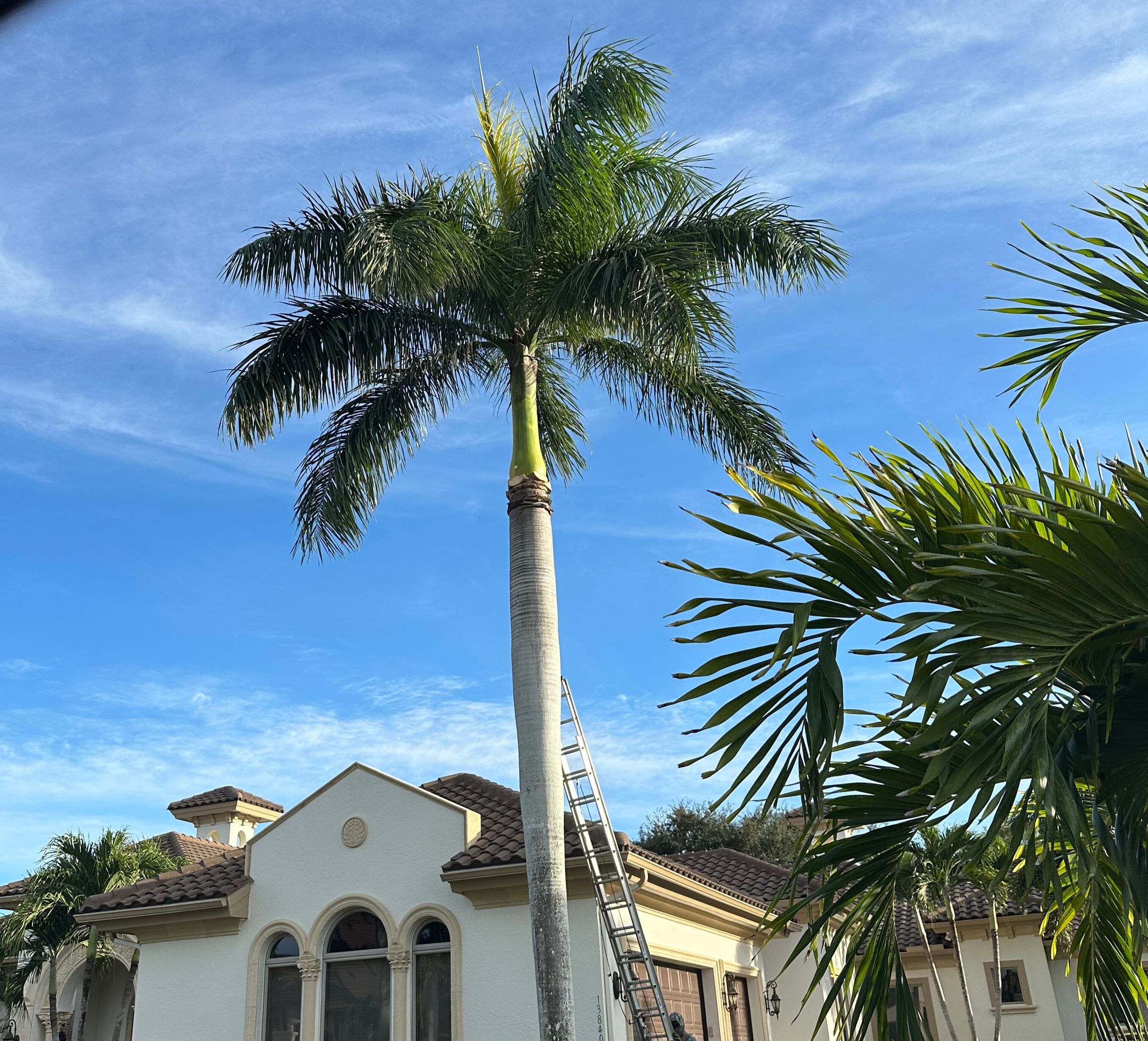 Paradises oaks Enterprise's image