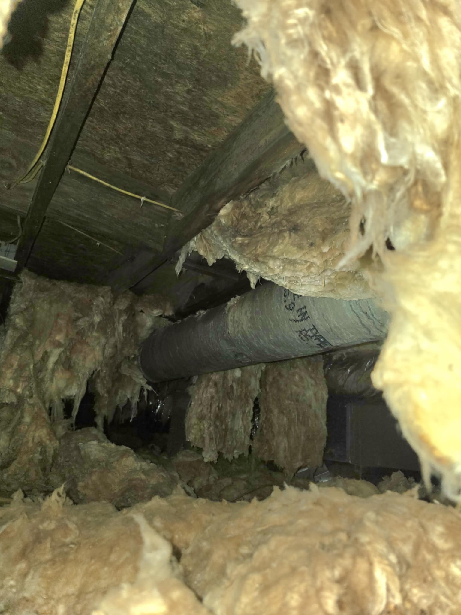 Eminent Roofing's image