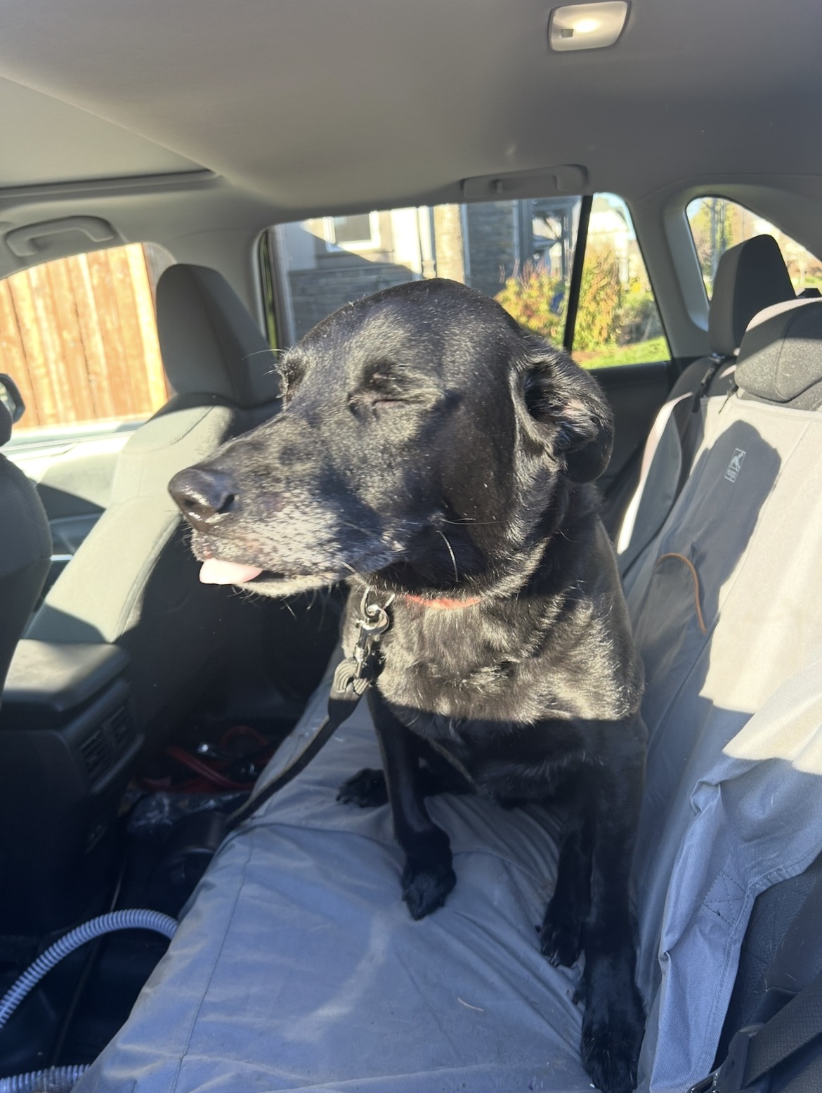 DUSTI’S SPAW's image