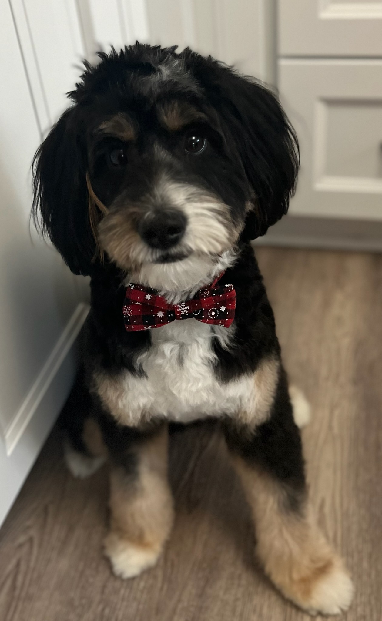 DUSTI’S SPAW's image