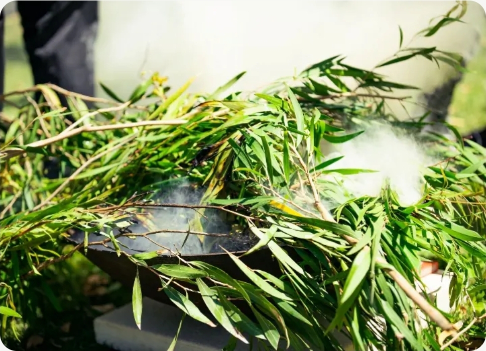 KNB Culture & Arts's image