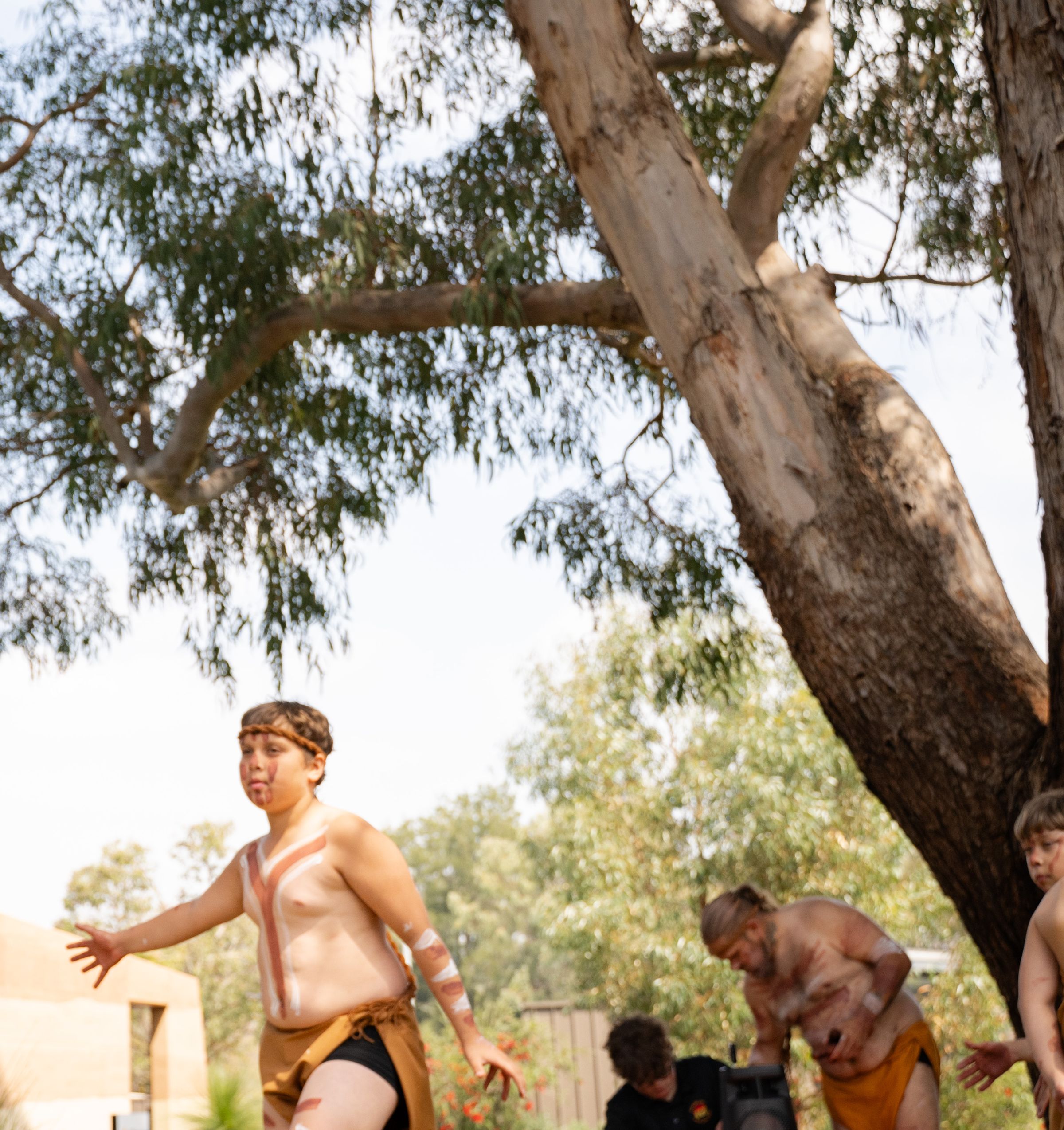 KNB Culture & Arts's image