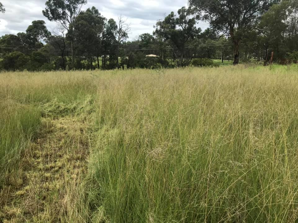 CMC LAWN AND GARDEN CARE's image
