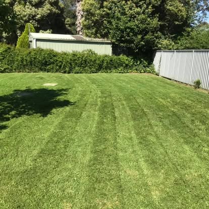 CMC LAWN AND GARDEN CARE's image