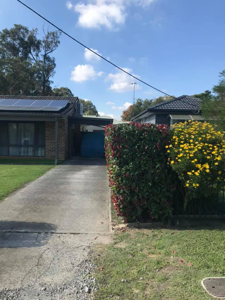 Hedge Trimming