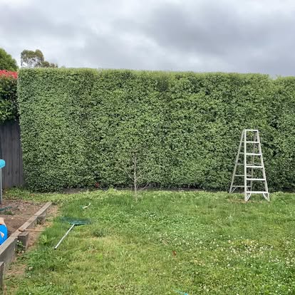CMC LAWN AND GARDEN CARE's image
