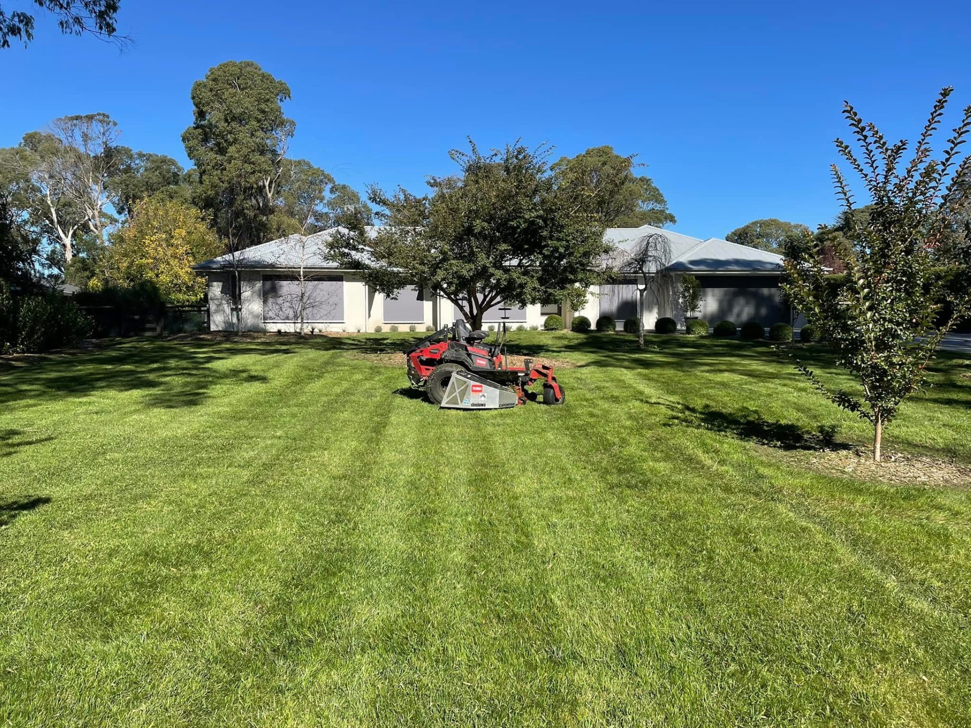 CMC LAWN AND GARDEN CARE's image