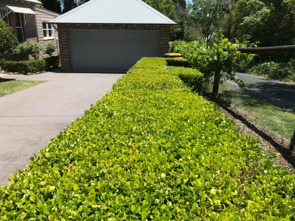 CMC LAWN AND GARDEN CARE's image