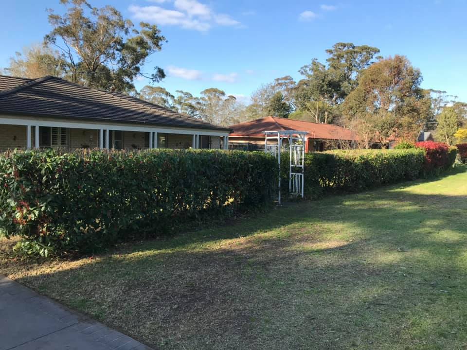 Hedge Trimming