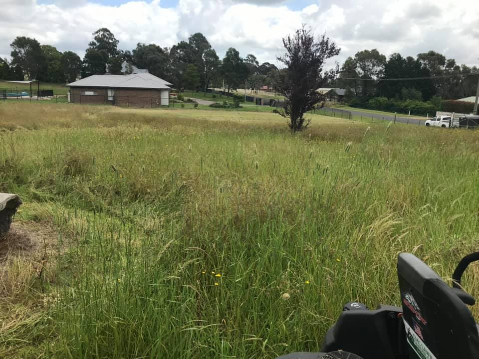 CMC LAWN AND GARDEN CARE's image
