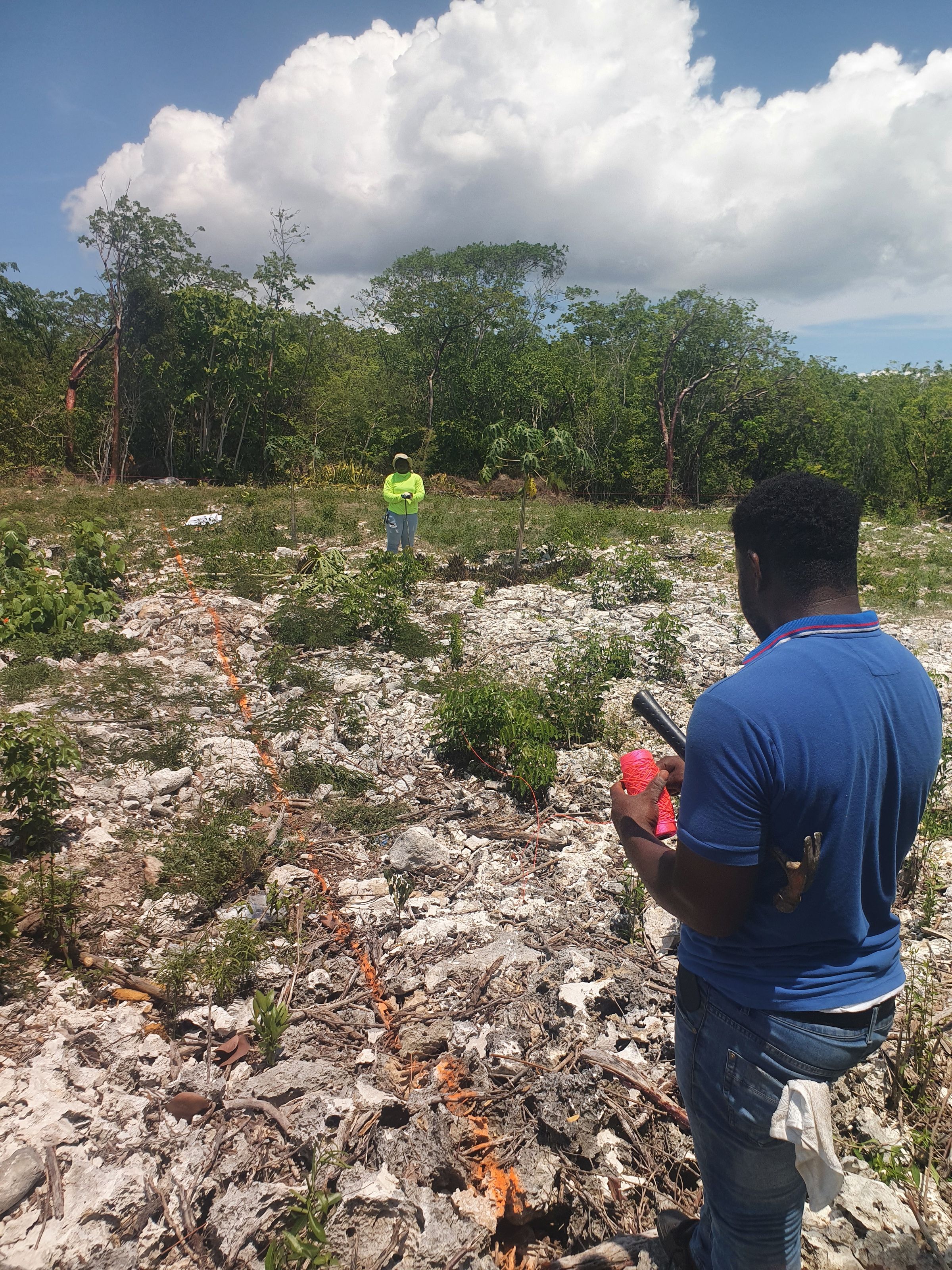 Construction Builders and Contractors Cayman islands 's image