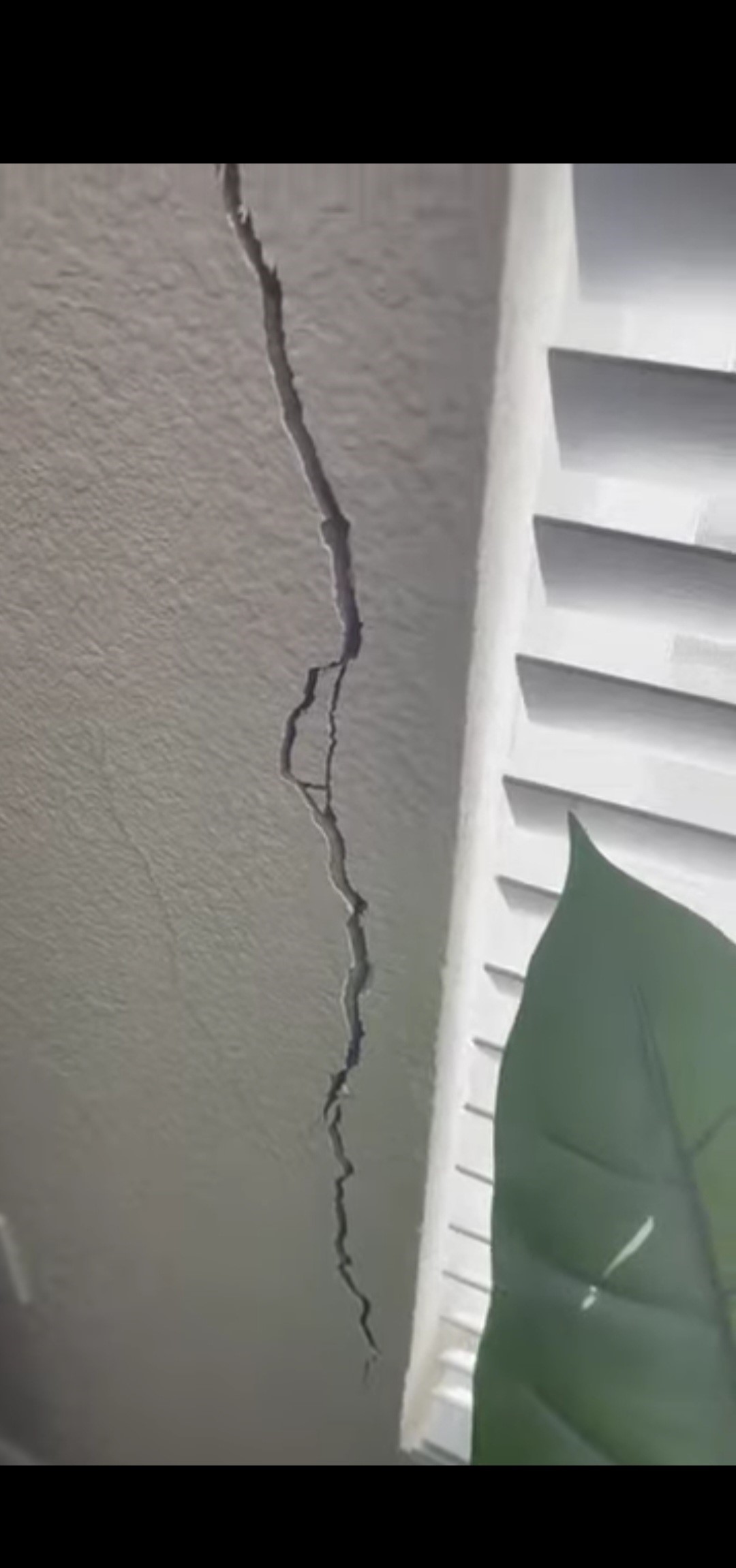 Construction Builders and Contractors Cayman islands 's image