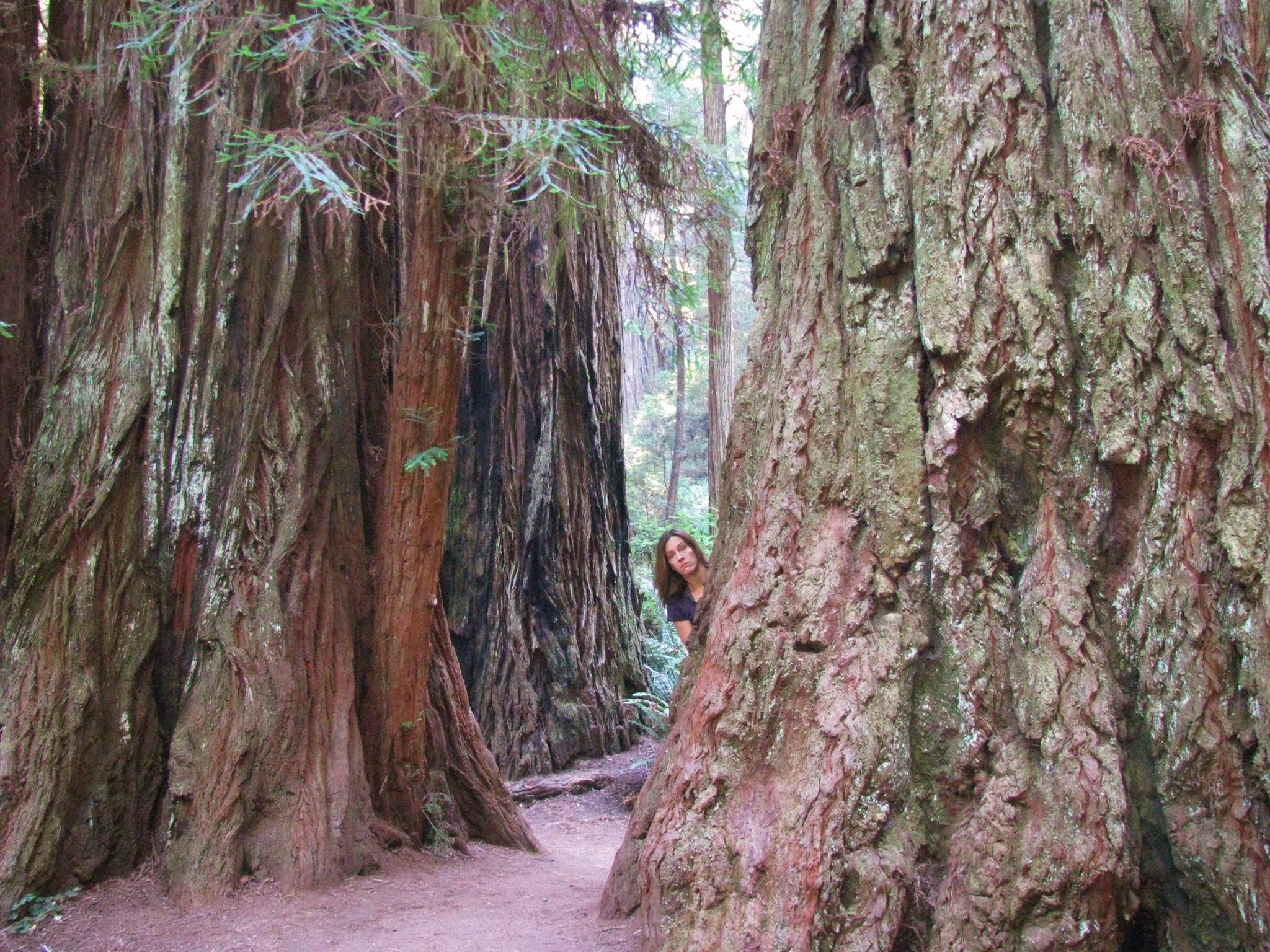 forest girl's image