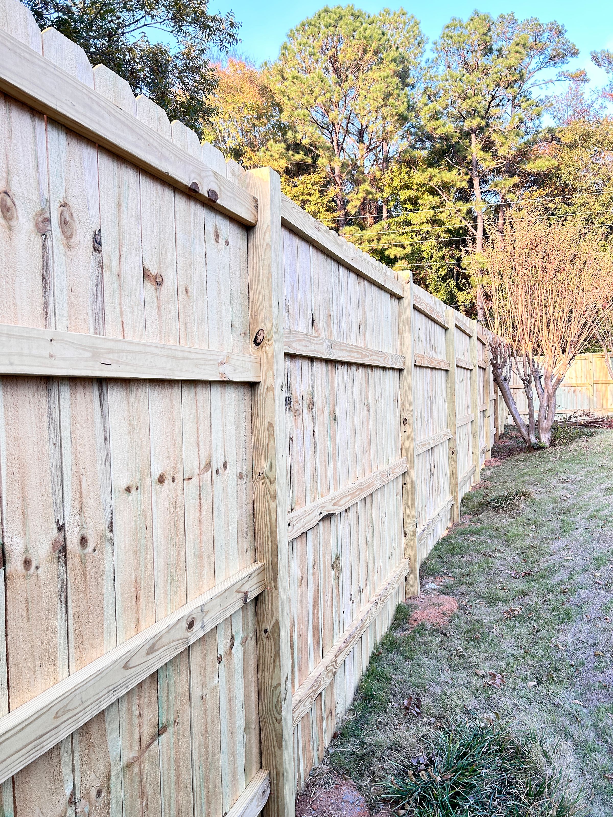 Fortson Gate's image