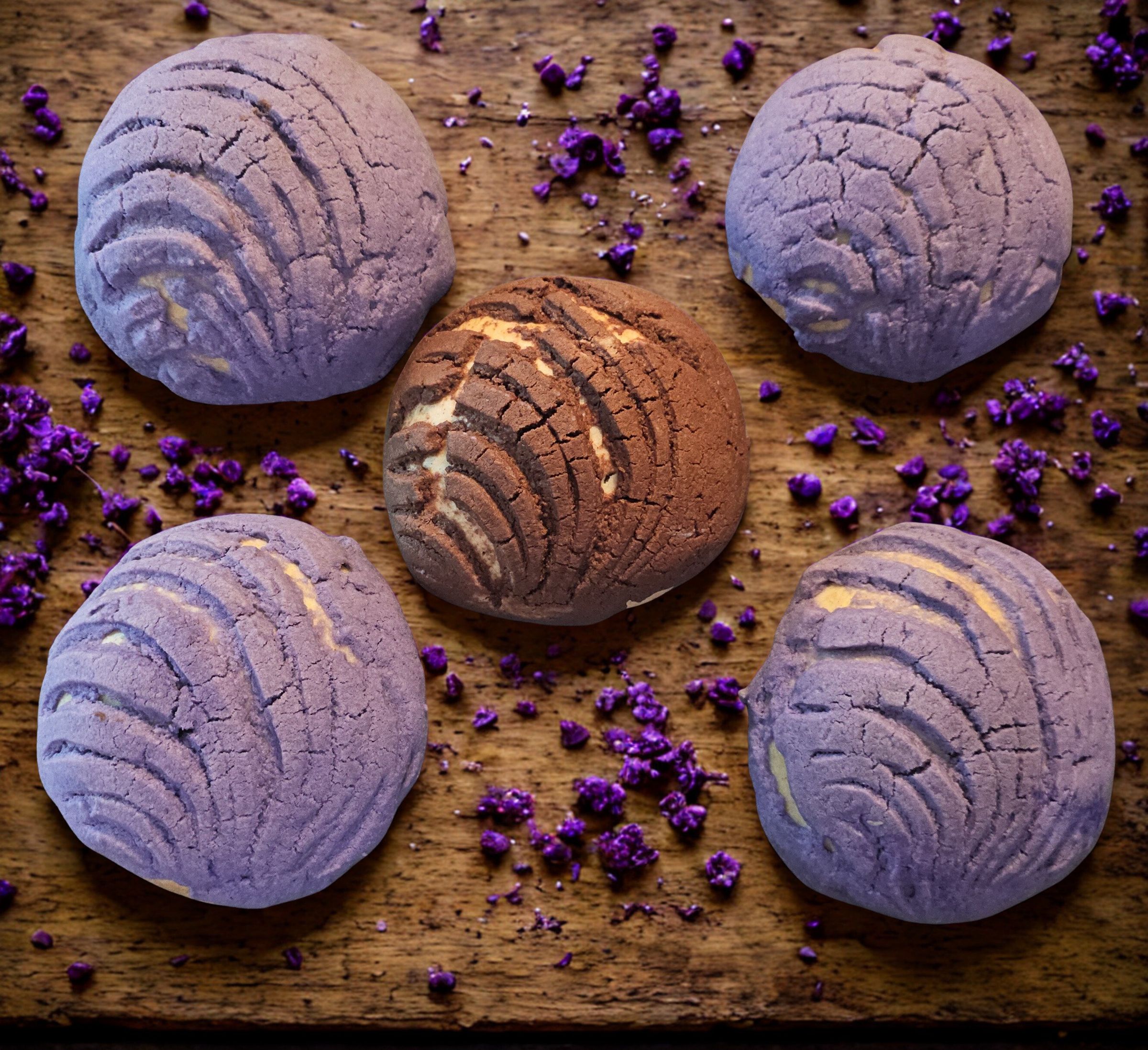 Conchas Reg or GF