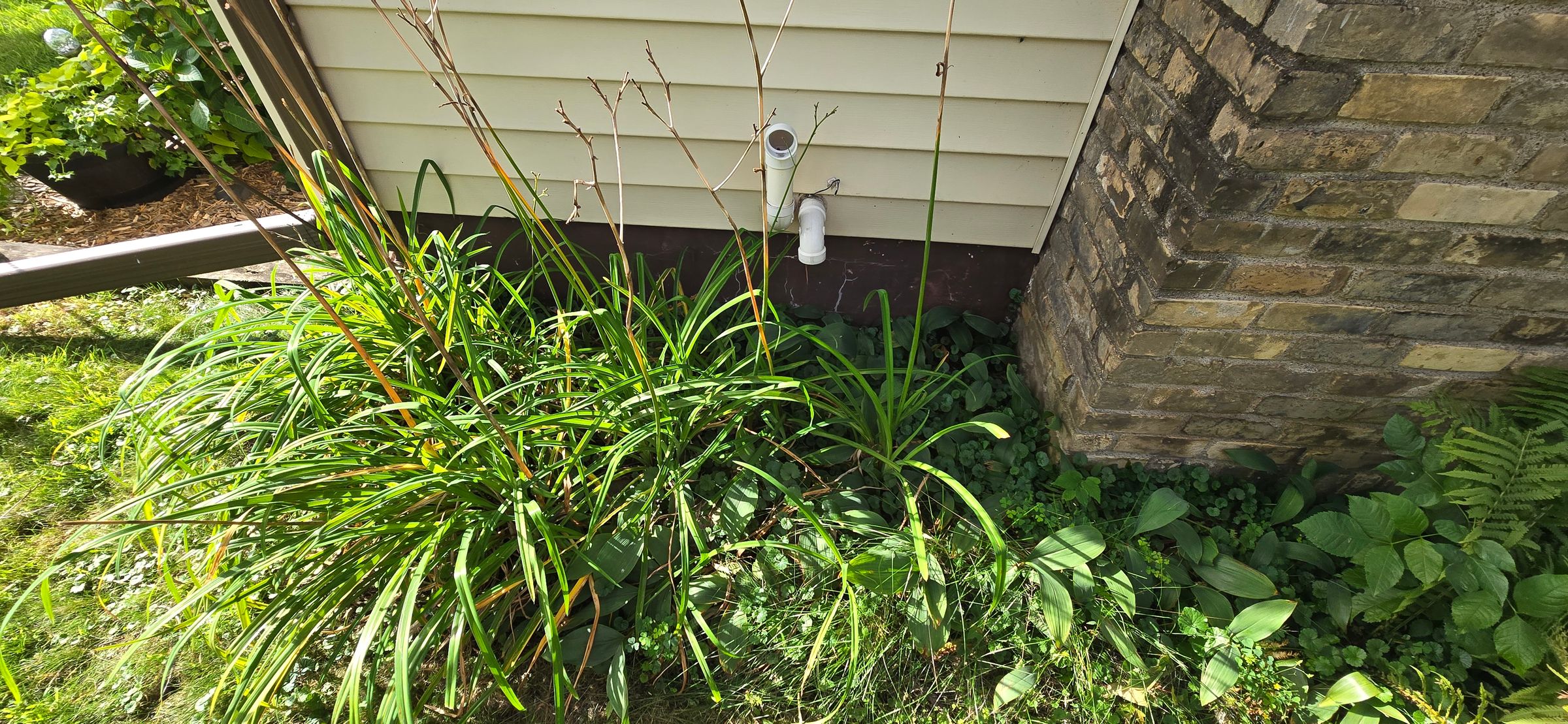 Lorsung Handyman Services's image