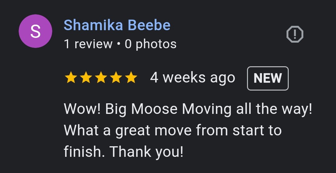 Big Moose Moving's image