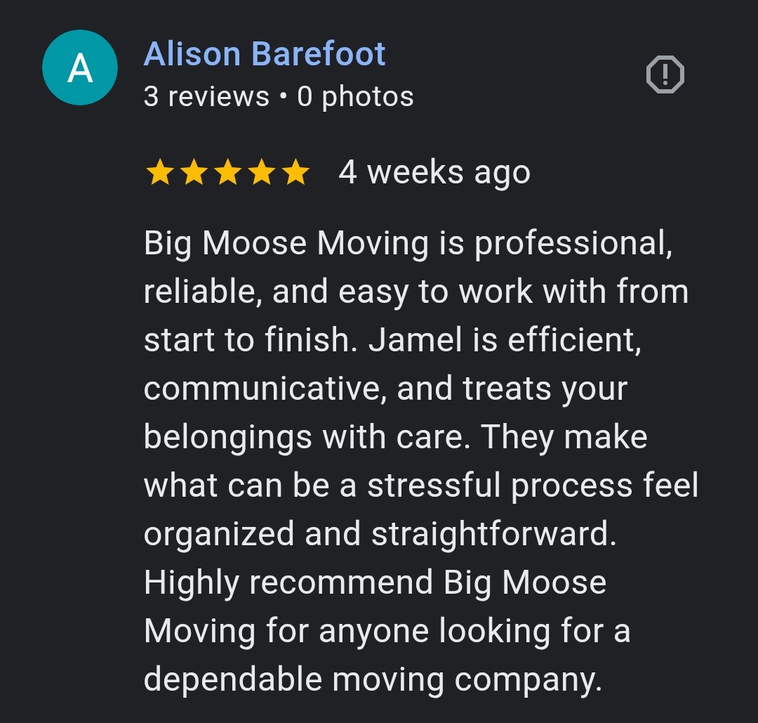 Big Moose Moving's image