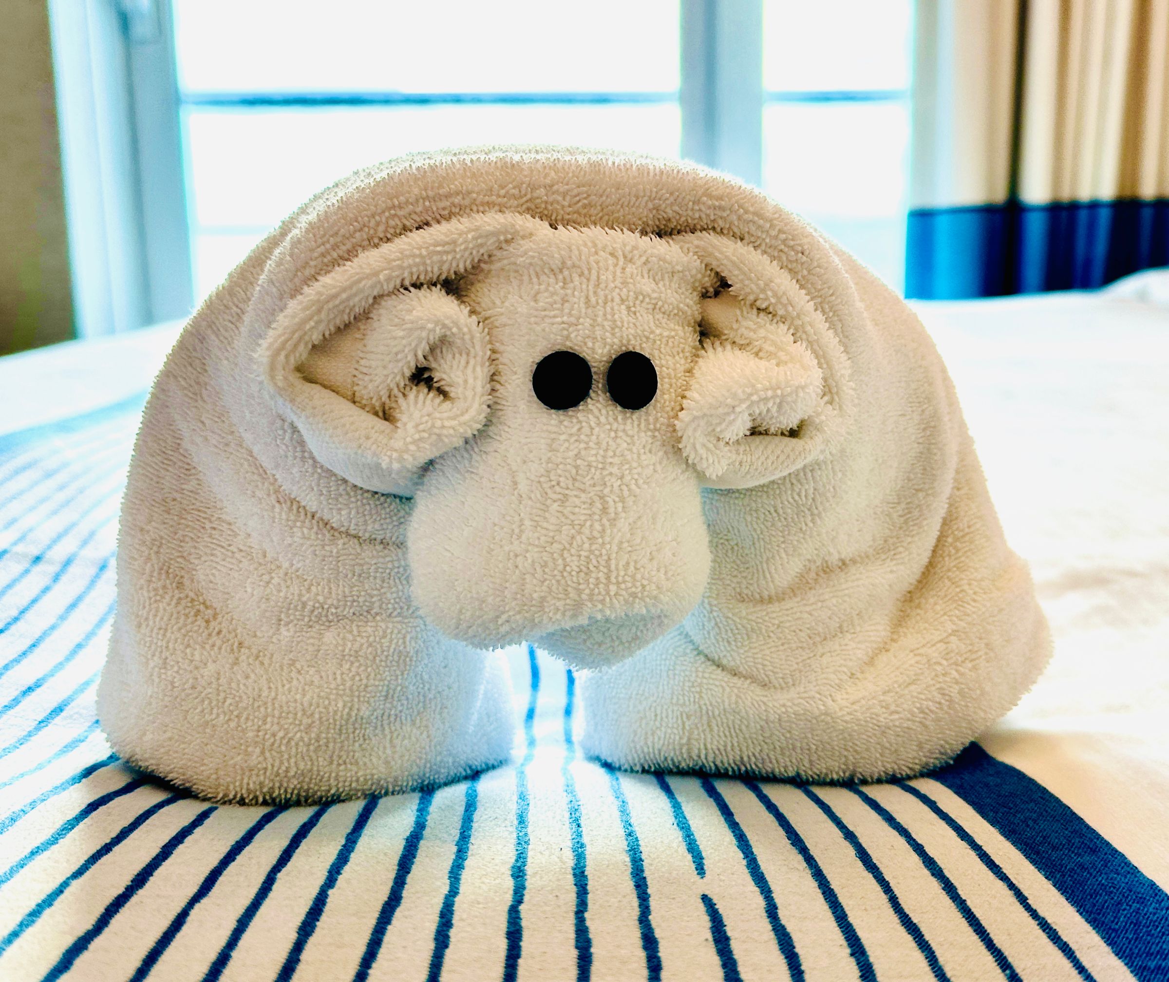 Ram Towel Cruise Price Advantages