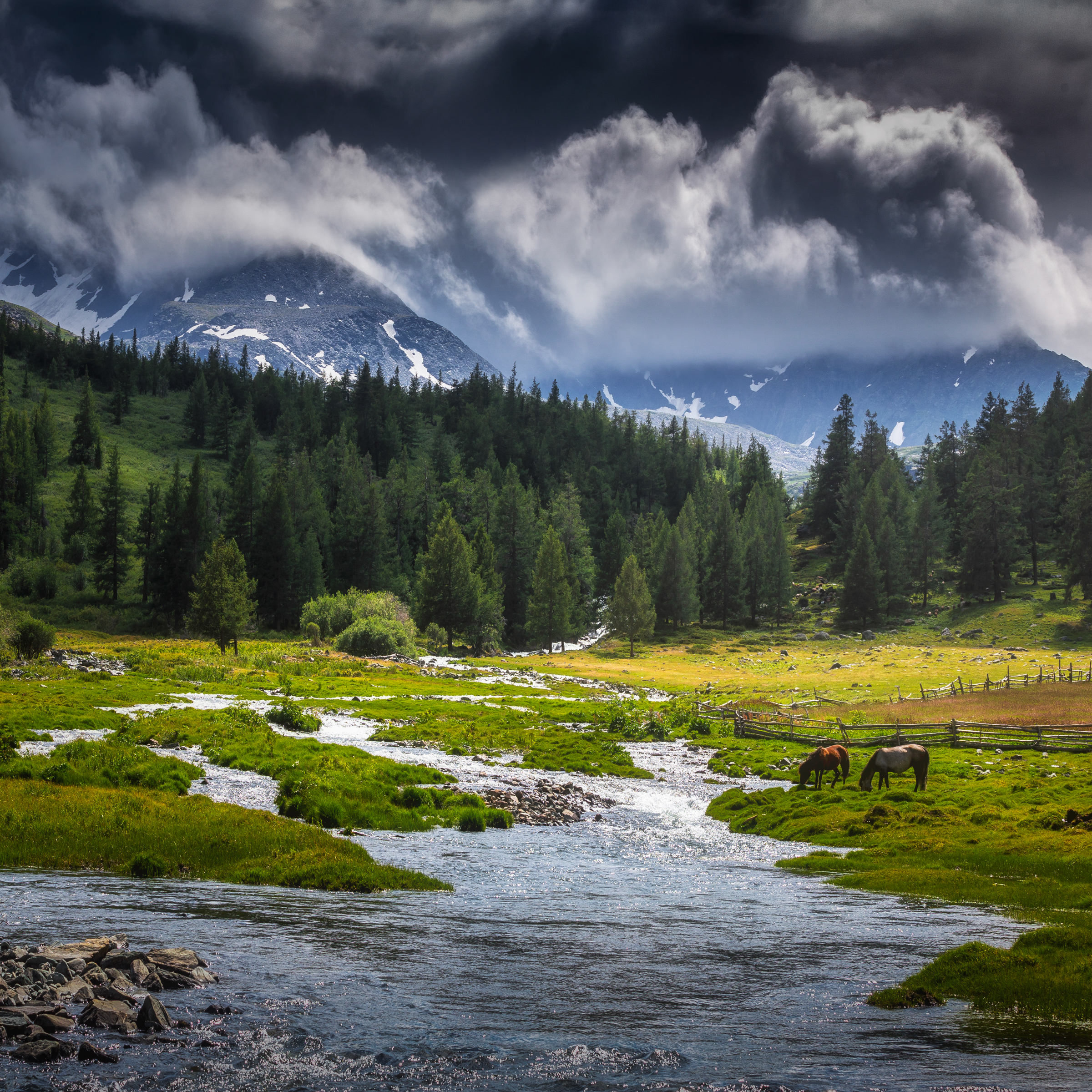 Бага түргэн