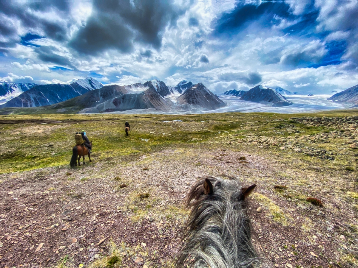 Хөтөлбөр 1 үндснэ зураг