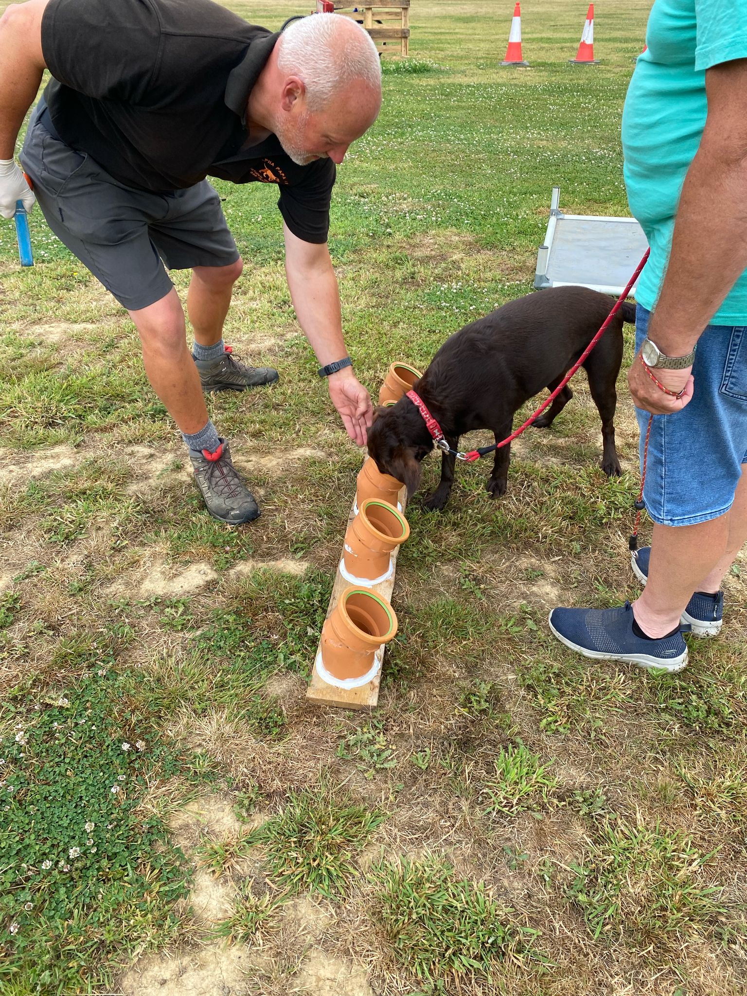 ALPHA PAPA K9's image