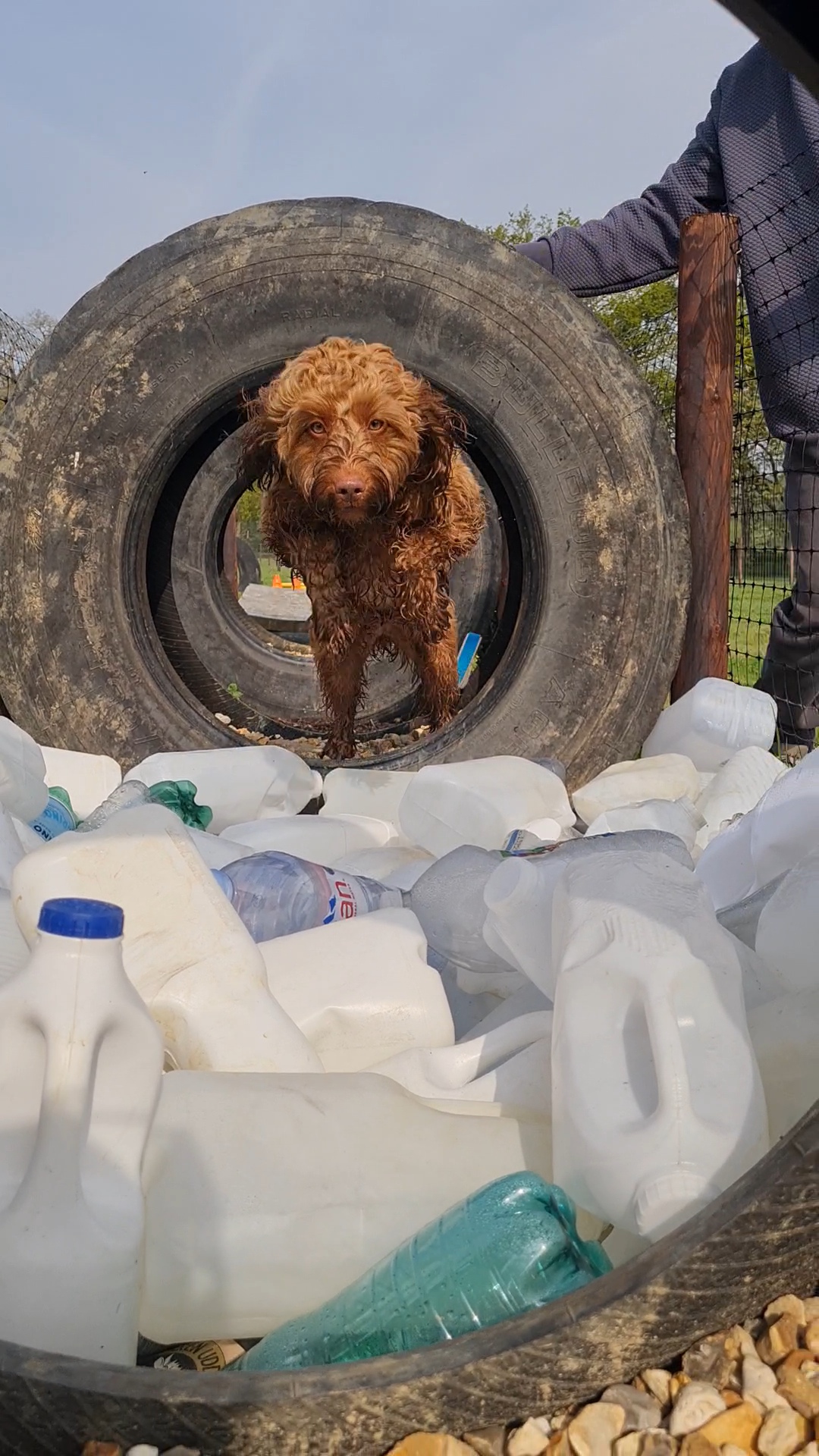 ALPHA PAPA K9's image