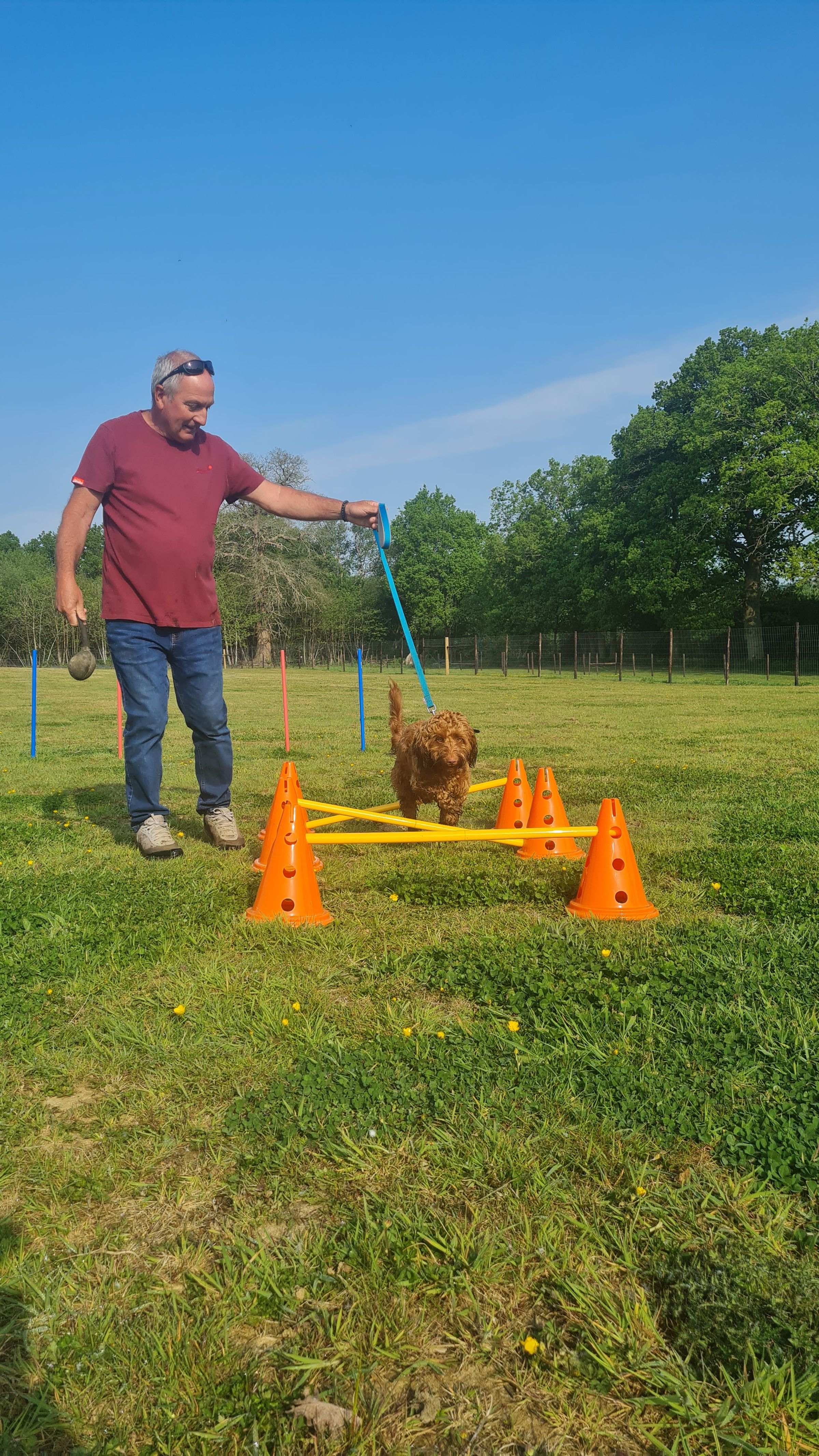 ALPHA PAPA K9's image