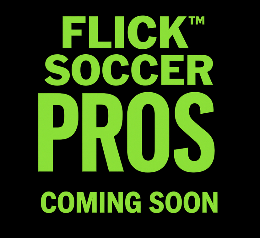 FlickPlay Global's image