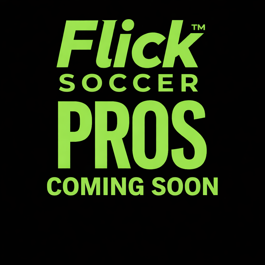 FlickPlay Global's image